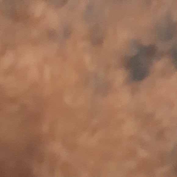 Meet your Posher, Elizabeth - Picture 1 of 1